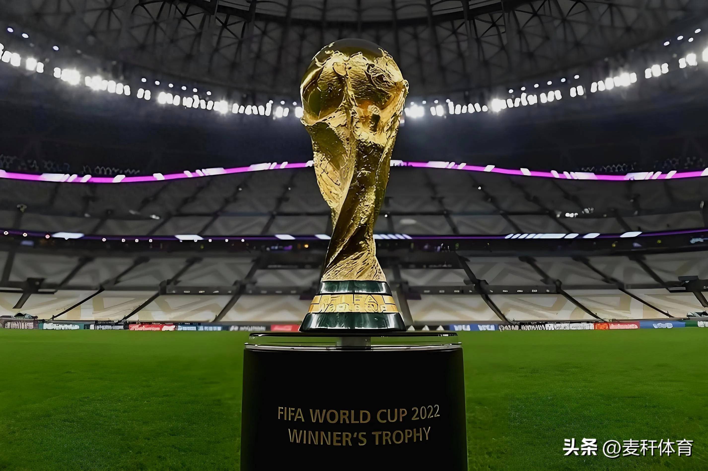 新举动无疑 新举动无疑